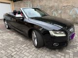 Audi S5 3.0 TFSI S tronic quattro Cabrio - Top  Voll - Audi S5 aus 2010