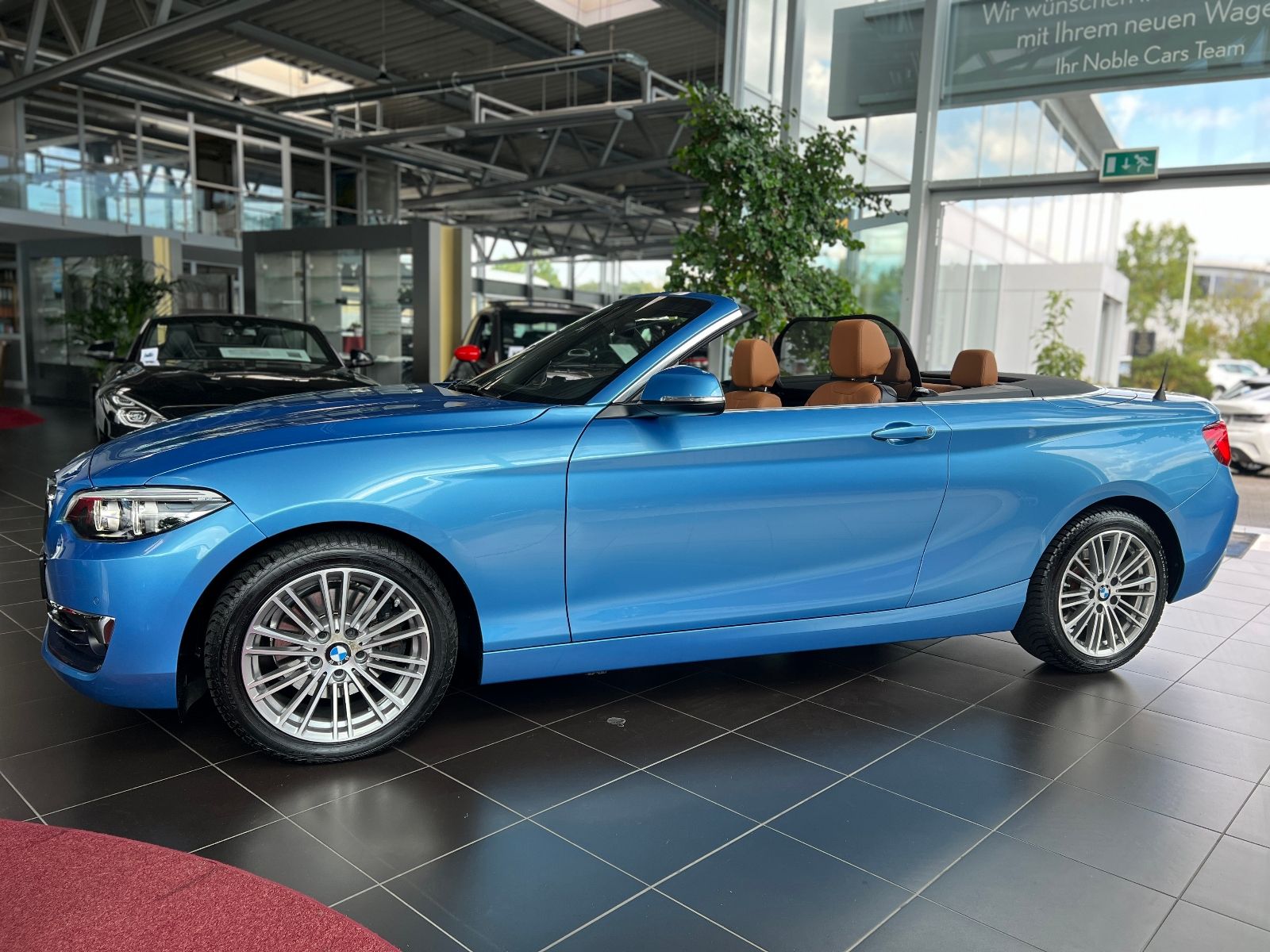 Fahrzeugabbildung BMW 220i Cabrio Luxury Line NAV LED PDC