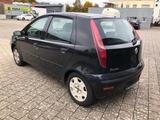 Fiat Punto 1.2 8V Start + TÜV bis 11/2025 - gebrauchte Fiat Punto aus dem Jahr 2006
