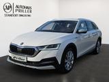 Skoda Octavia 2.0 TSI Combi Scout 4x4/AHK/LED/HUD/ACC - Skoda Octavia: Scout Combi