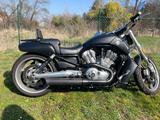 Harley-Davidson VRod VRSCF
