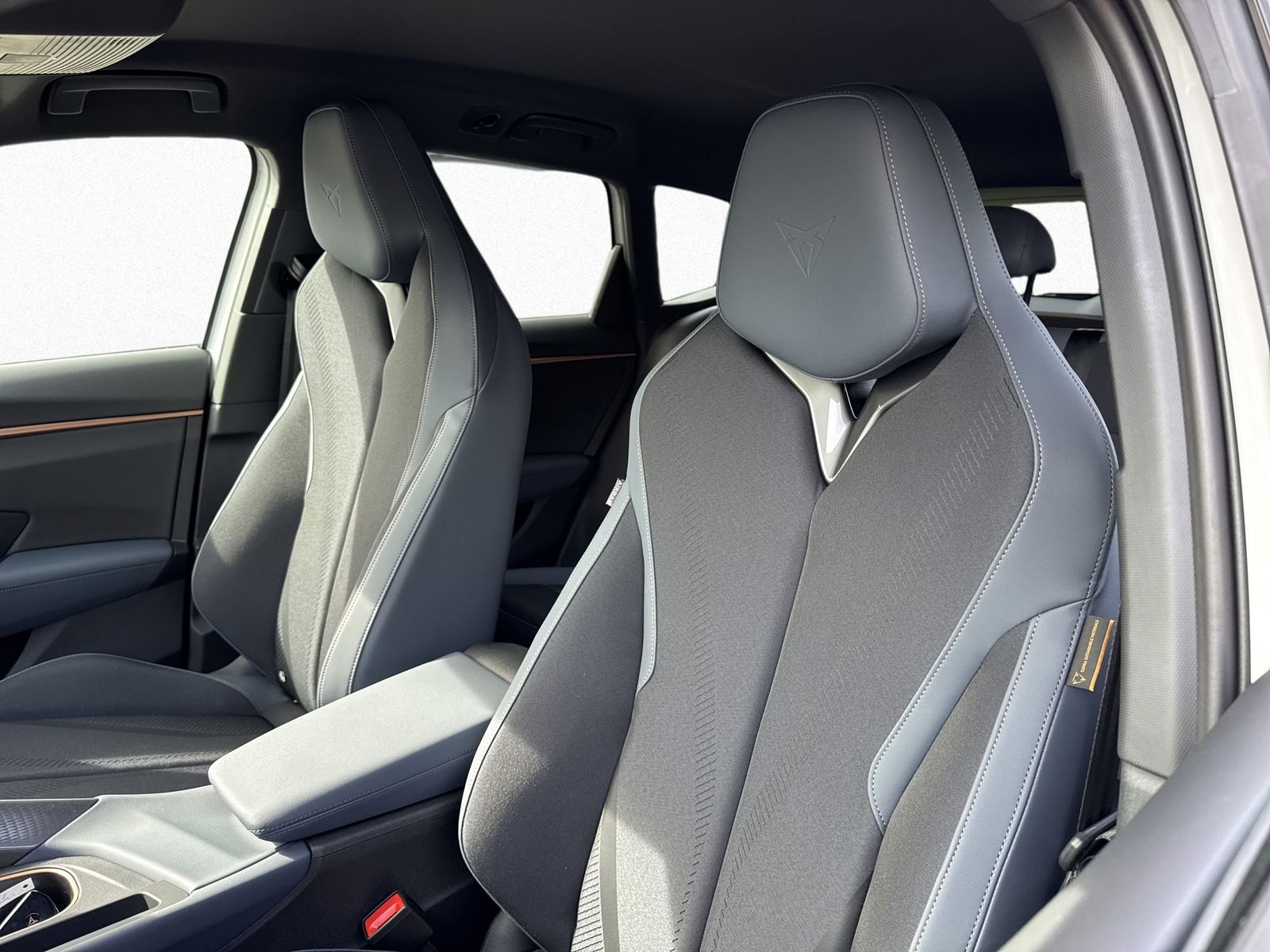 Cupra Terramar - Bild 10