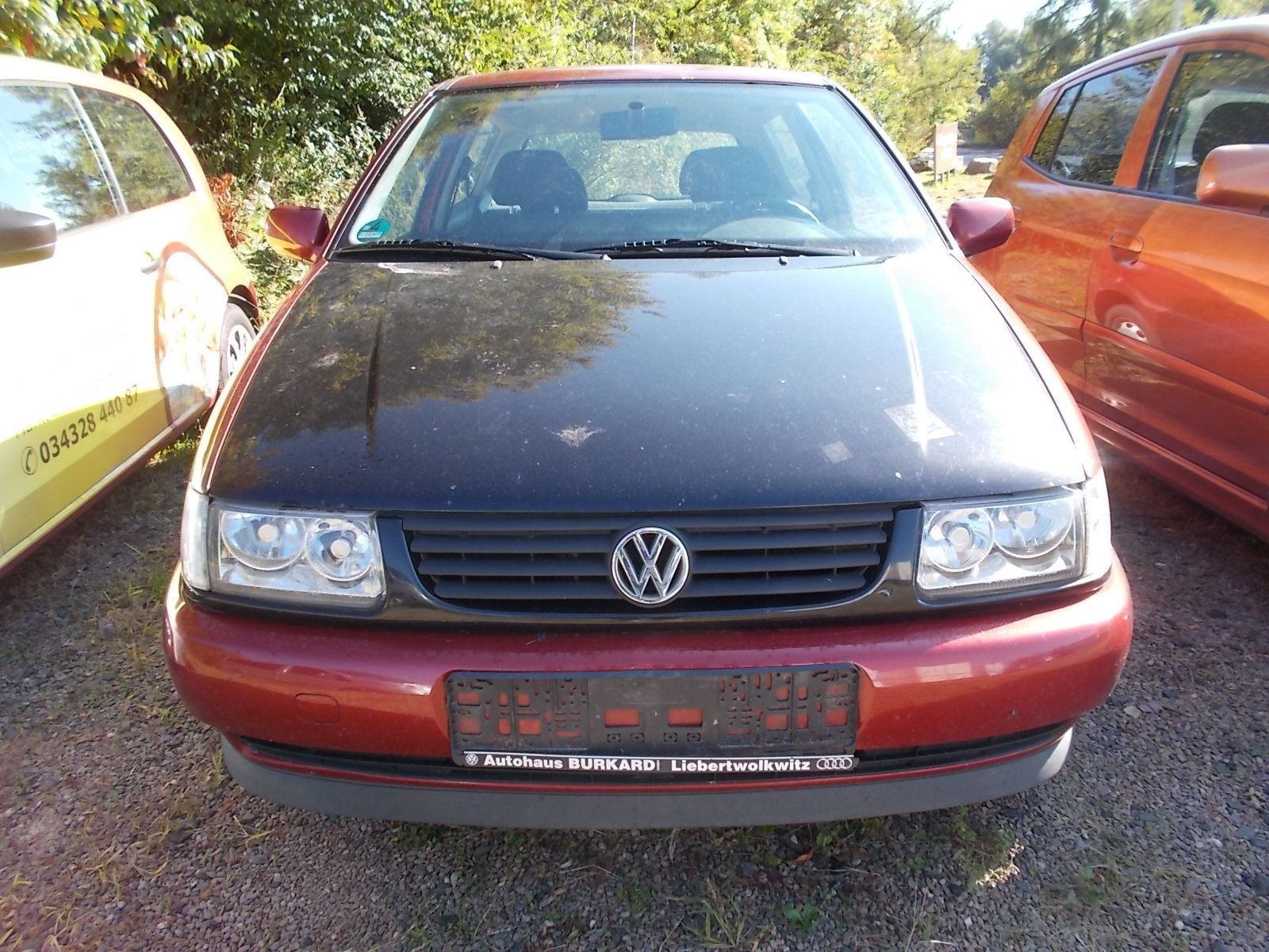 Fahrzeugabbildung Volkswagen Polo 1.0 45 PS + wenig Kilometer