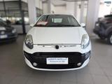 Fiat Punto 1.3 MJET 75 5P. 150th - Fiat Punto aus 2011 mit Diesel-Antrieb