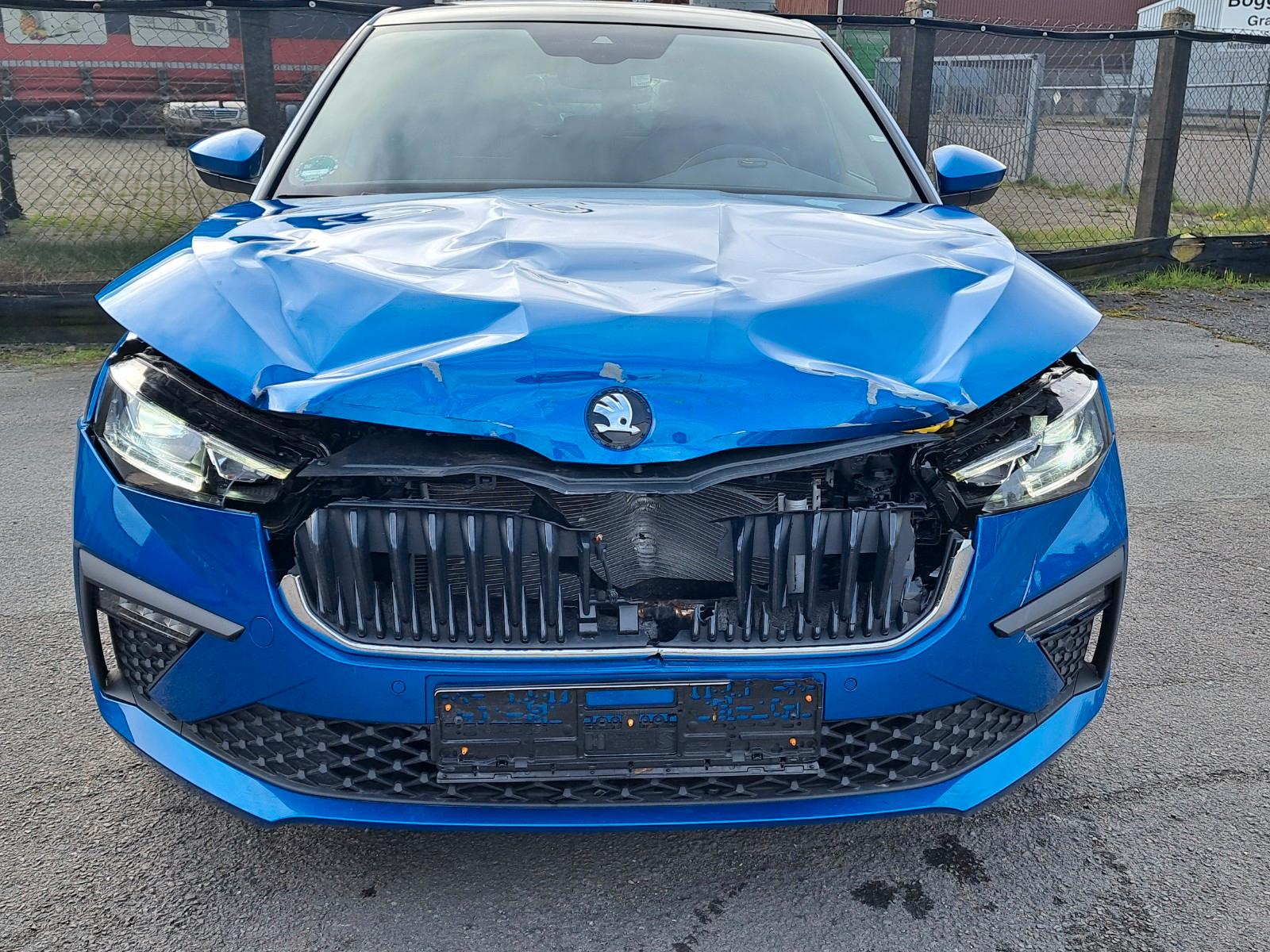 Skoda Scala Drive /Panorama/Navi/DAB/APP/Kamera/ELHeck