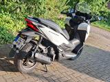 Honda Forza - HONDA ROLLER FORZA