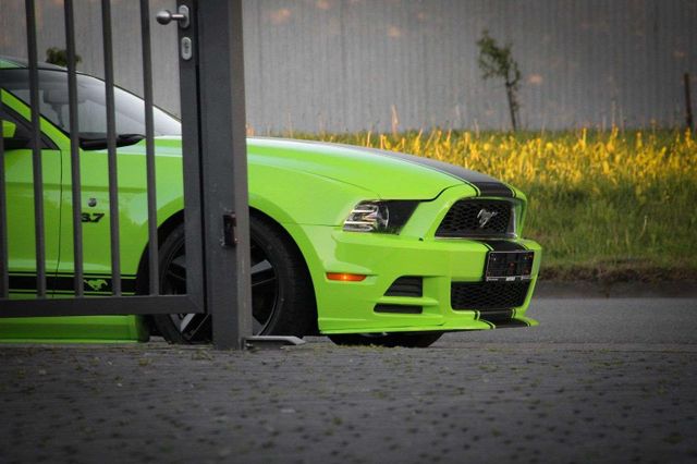 Ford Mustang 3.7 V6 Aut./Roush-Sportausp./Leder/Xenon