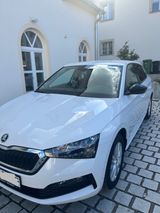 Skoda Scala 1.0 TSI 70kW Ambition*Smartlink* *Climatr* - Skoda Scala von privat