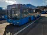 MAN A26 CNG Lions City ( 3709-3729) 21 buses - MAN 372