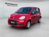 Fiat Pandina ICON Hybrid MHEV*KLIMA*PDC*USB*DAB*RADIO - Fiat Panda Tageszulassungen mit Benzin-Antrieb