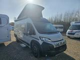 Carado pro CV 640+ /Aufstelldach
