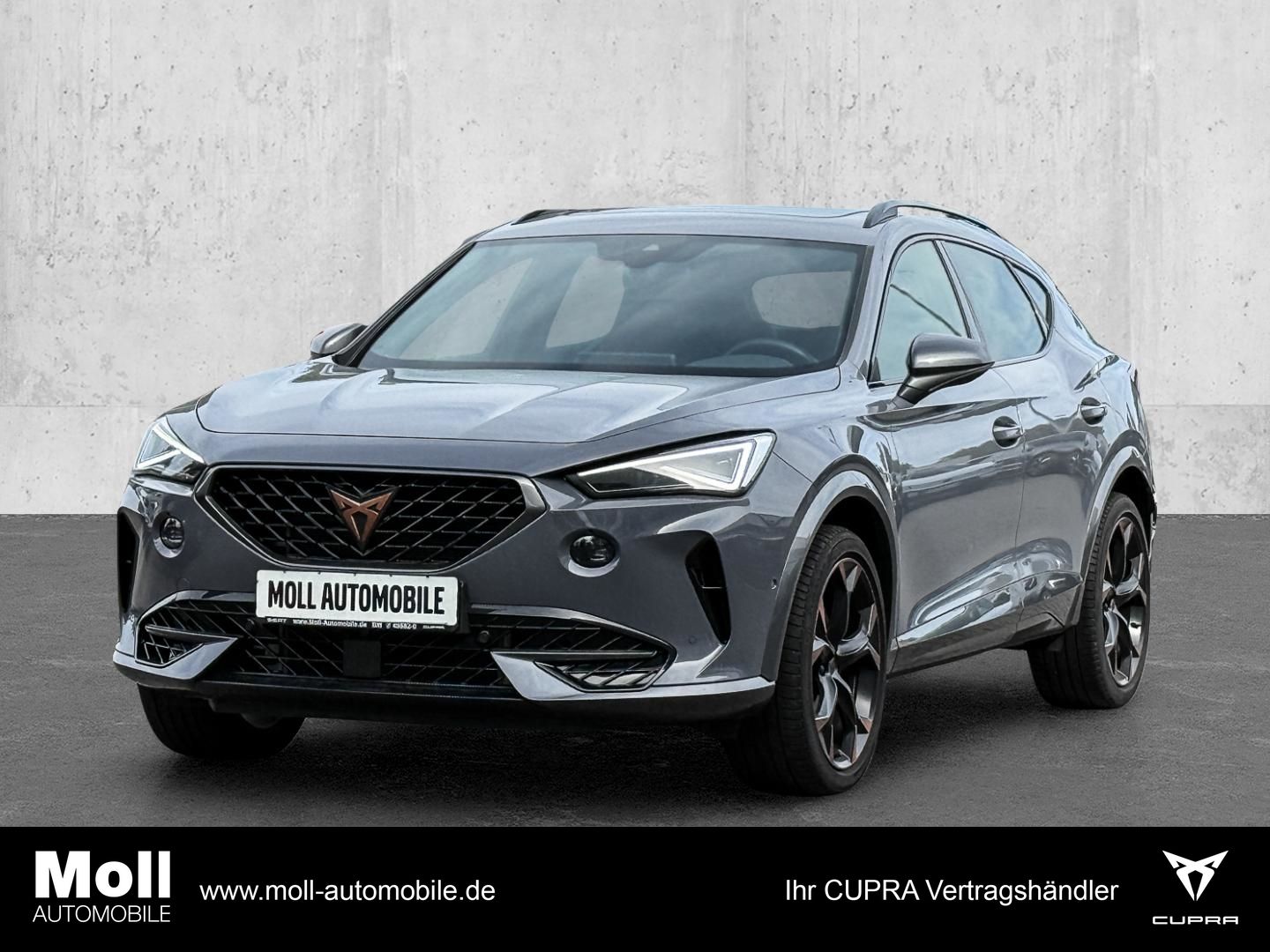 Cupra Formentor VZ 4Drive 2.0 TSI EU6d 7-Gang DSG Pano