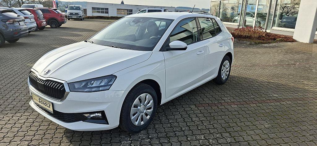 Skoda Fabia Selection 1.0 TSI LED,SHZ, 48Monate Gar.