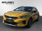Kia XCeed Launch Edition 1.4 T-GDI 1.4T DCT7+GD Pano - Kia XCeed Gebrauchtwagen