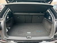 Audi Q2 - Vorschau Bild 6