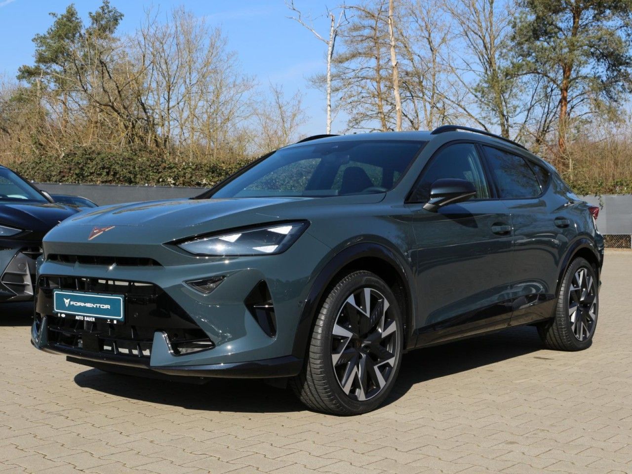Fahrzeugabbildung CUPRA Formentor VZ 2.0 TSI DSG 4Drive