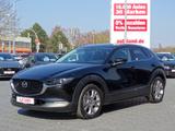 Mazda CX-30 2.0 M-Hybrid Selection 2WD LED Navi 360° - Mazda Gebrauchtwagen von 2021