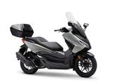 Honda Forza 125  NSS125 *2025*6 Jahre Garantie* - Offers