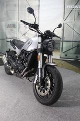 Benelli Leoncino 500 - BENELLI LEONCINO 500