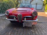 Alfa Romeo Giulia Spider - Alfa Romeo Giulia aus 1965