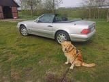 Mercedes-Benz SL 280  - Mercedes-Benz SL 280 aus 1998