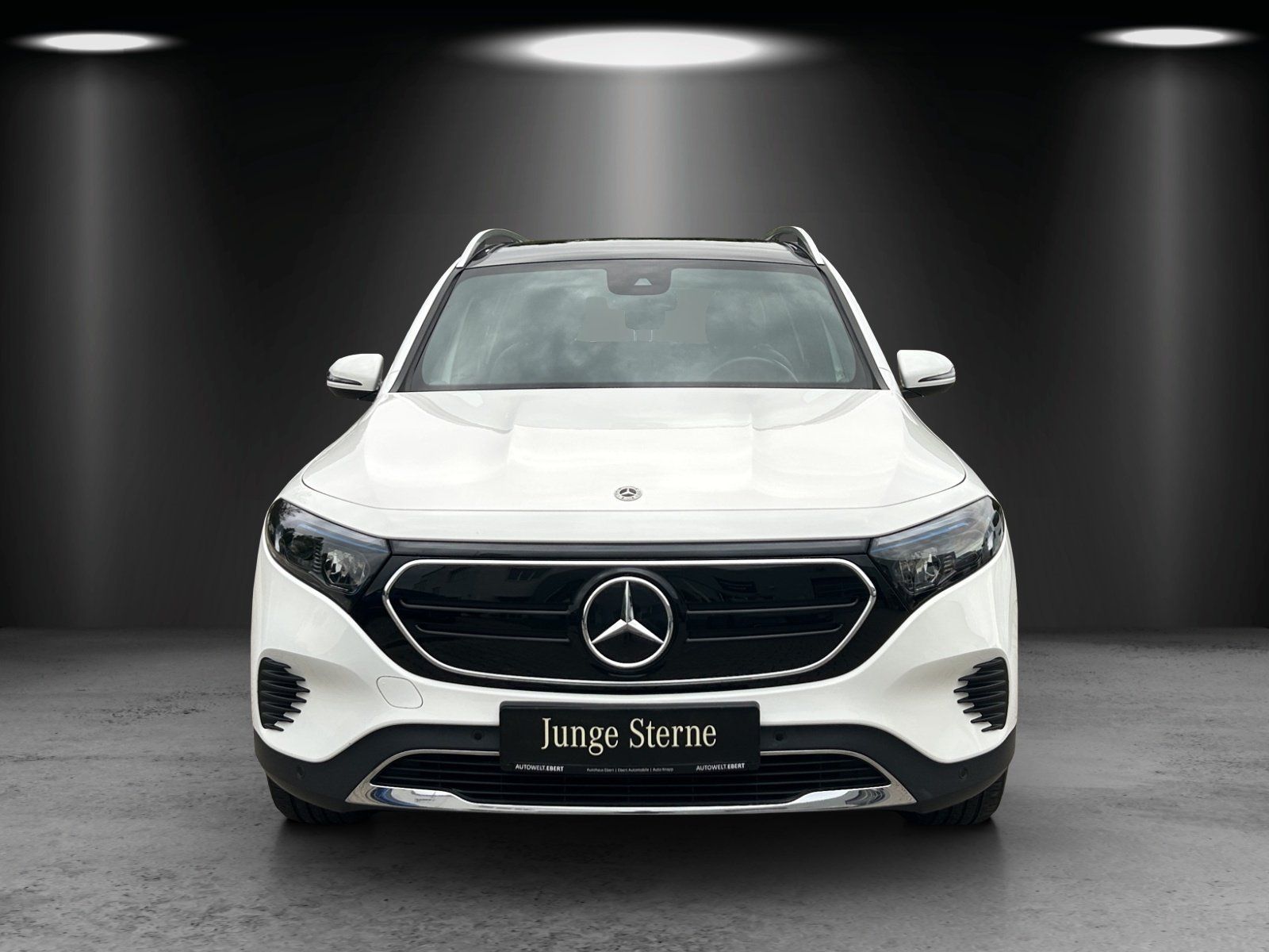 Fahrzeugabbildung Mercedes-Benz EQB 250 Progressive Advan Pano LED Kamera elHeck