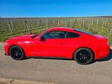 Ford Mustang 5.0 Ti-VCT V8 GT  - gebrauchte Ford Mustang aus dem Jahr 2015