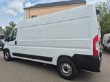Fiat Ducato L4H2 - Ratenzahlung mgl. - Fiat Ducato: L4h2