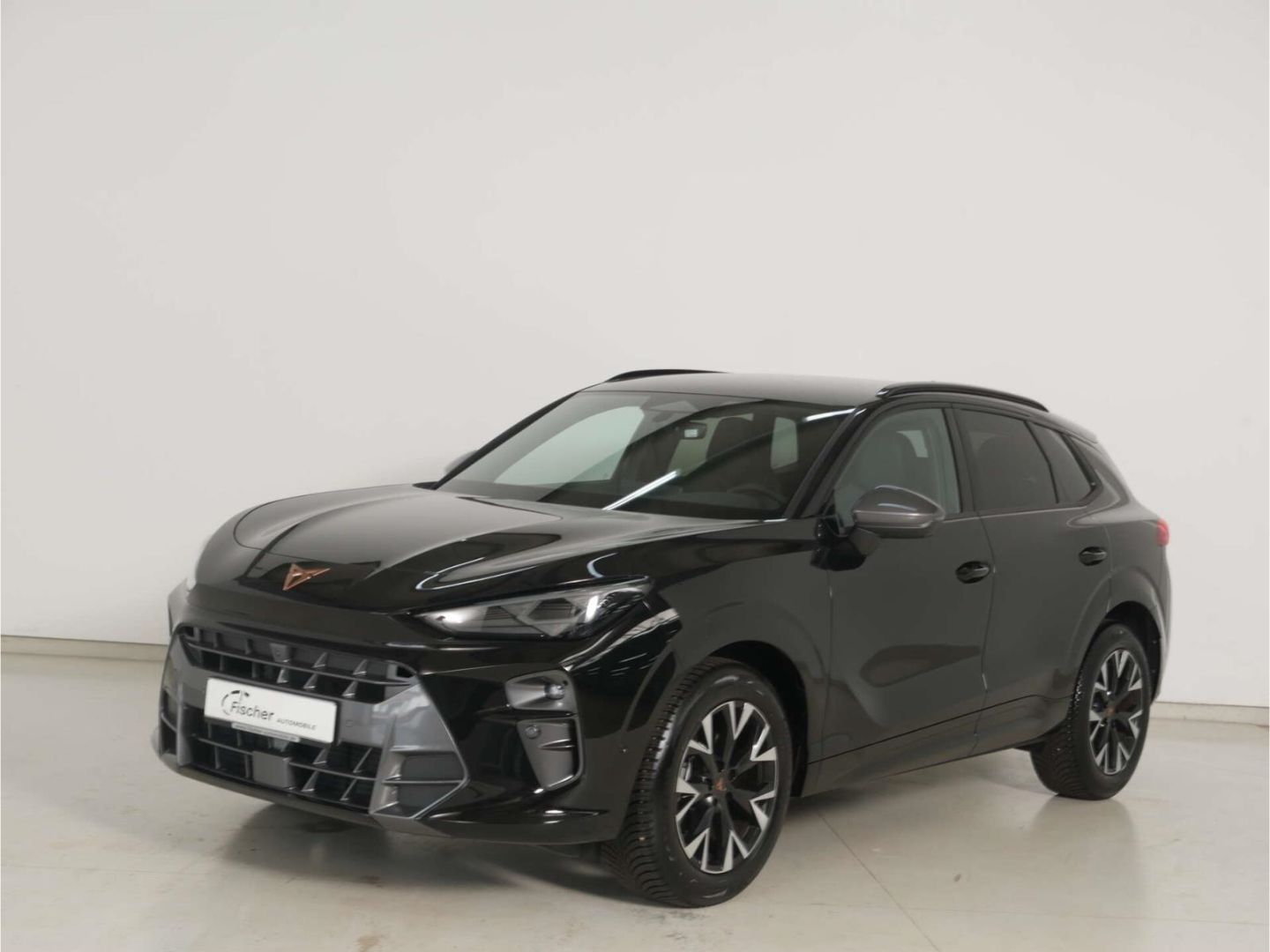 Cupra Terramar - Bild 2