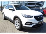 Opel Grandland X 1.2 Edition Navi PDC - Opel Grandland (X) in Nürnberg
