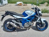 Suzuki SFV650A Gladius  - SUZUKI 650 GLADIUS