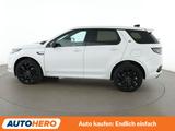Land Rover Discovery Sport P300e Hybrid SE AWD Aut.*LED* - Land Rover Discovery Sport mit Hybrid-Antrieb