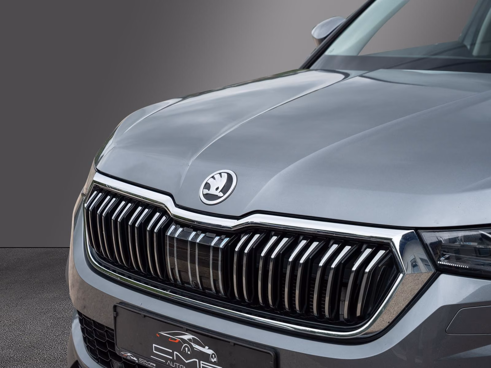 Skoda Kodiaq Style 4x4 Columbus DAB+ Traveller Plus, миниатюра 11