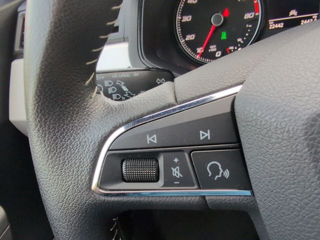 Arona 1.0 TGI XCELLENCE ERDGAS NAVI FULL LINK BT