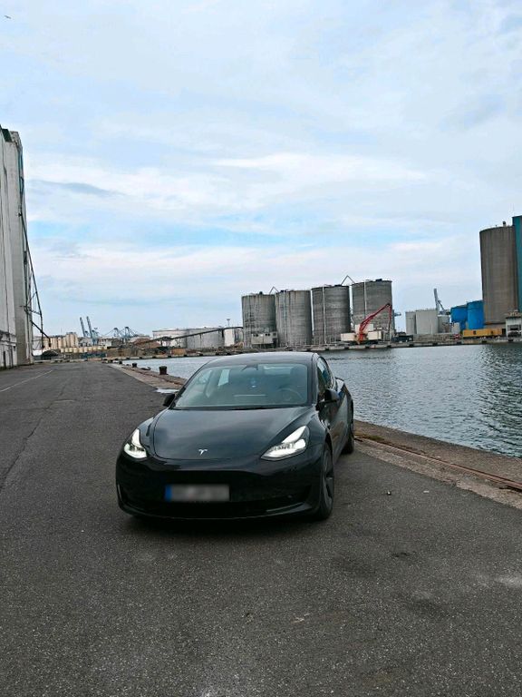 Image of Other Other