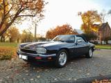 Jaguar XJS 6.0 V12 Cabrio - scheckheftgepflegte Jaguar XJS