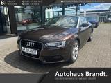 Audi Cabriolet A5 2.0 TDI DPF clean diesel  Klima/Sit - Audi Cabriolet mit Diesel-Antrieb