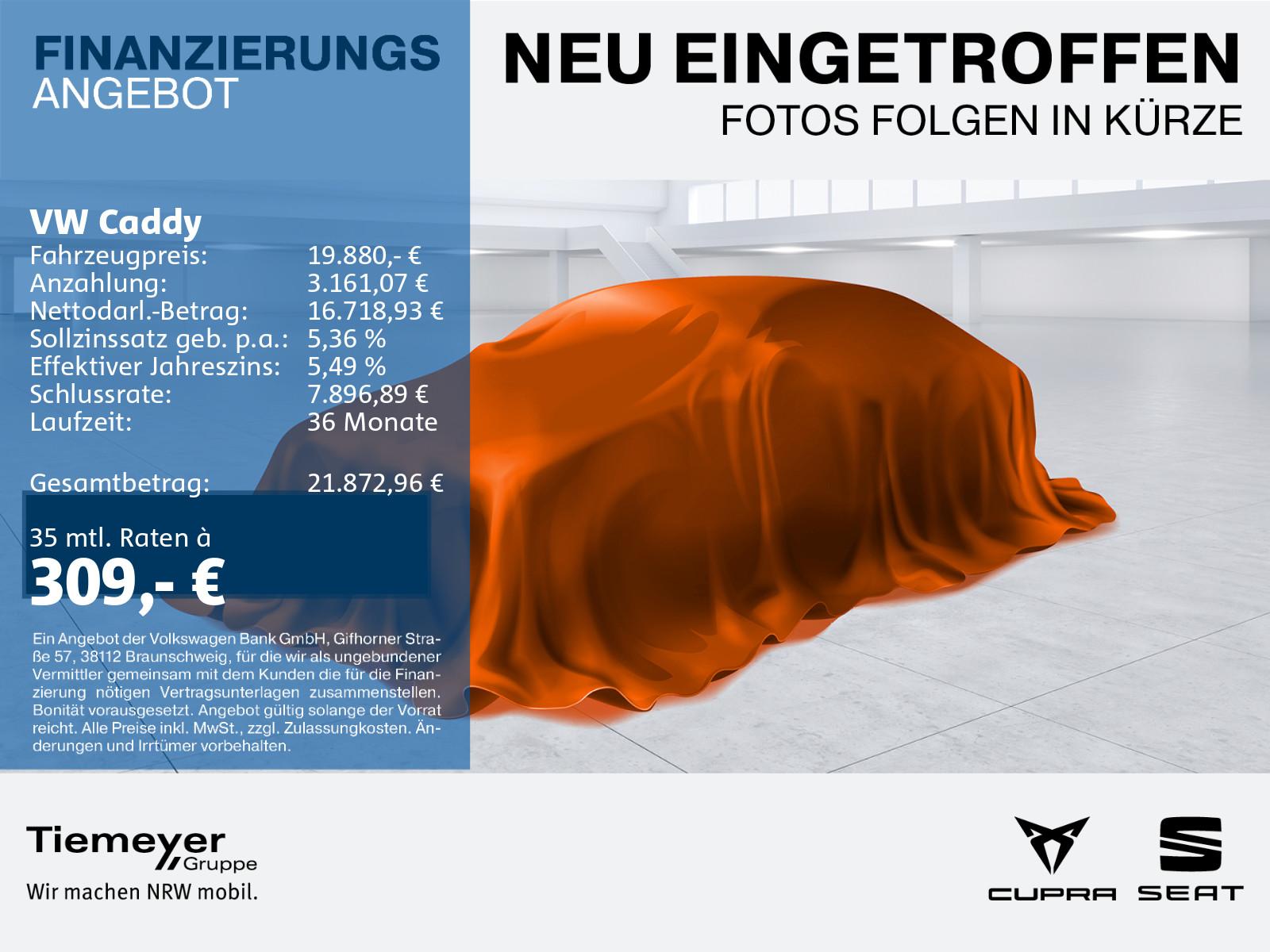Volkswagen Caddy Cargo REGALAUSBAU KLIMA ALLWETTER