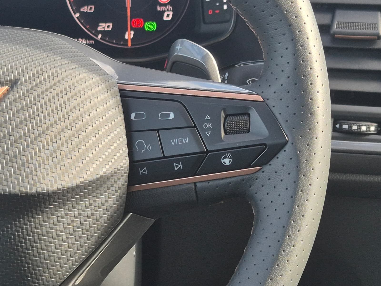Fahrzeugabbildung CUPRA Ateca 1.5 TSI DSG PANO*DINAMICA*ACC*KAM*AHK*19"