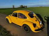 Volkswagen Käfer - Volkswagen: Sportwagen, Kaefer
