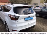 Ford Kuga ST-Line AWD 6 Gang AHK WR SHZ PDC 19 ´´ - Ford Kuga: 1.6