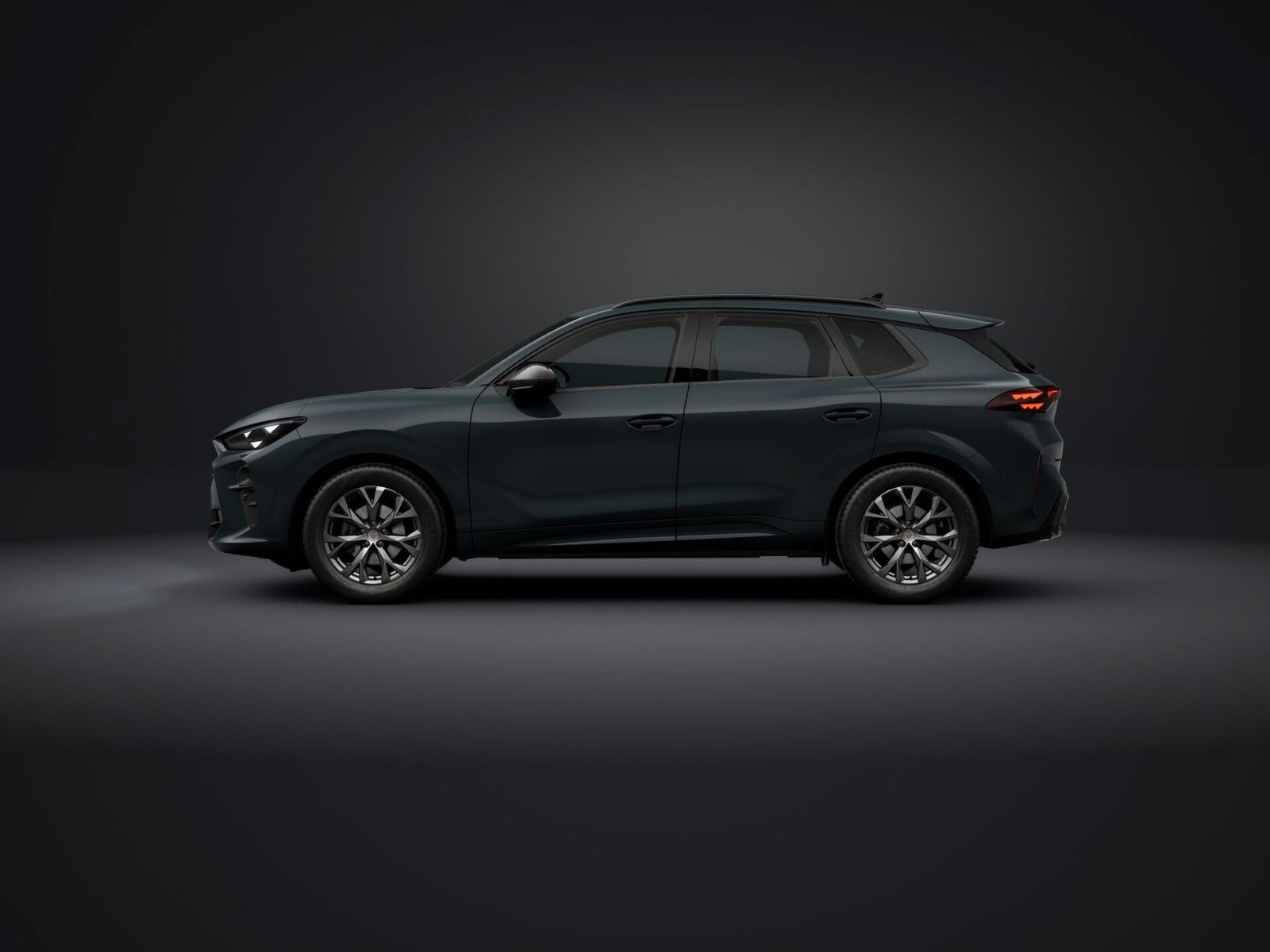 Cupra Terramar - Bild 3