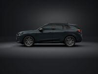 Cupra Terramar - Vorschau Bild 3