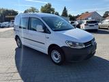 Volkswagen Caddy 2.0 TDI Nfz Kasten Trendline-Sornimo Regal
