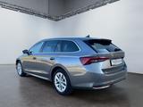Skoda Octavia Combi Selection 2.0 TDI DSG Winterpaket - Skoda Octavia Selection mit Diesel-Antrieb