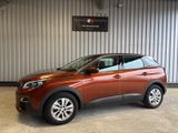 Peugeot 3008 Active Business Navigation / Voll Leder - Peugeot 3008: Kombi
