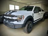Ford F 150/5.0/V8/4X4/Raptor - Ford F 150: 5.0