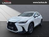 Lexus NX 350 h 243 PS Executive *15-J ahre Garantie* I - weiße Lexus NX 350h