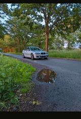 BMW 2.300 bis ende dieser Woche! BMW E46 318I... - BMW 318: 318d E46