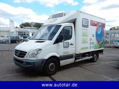 Fahrzeugabbildung Mercedes-Benz Sprinter 313 CDI Fahr.und Stand, 2 Kühlkammern